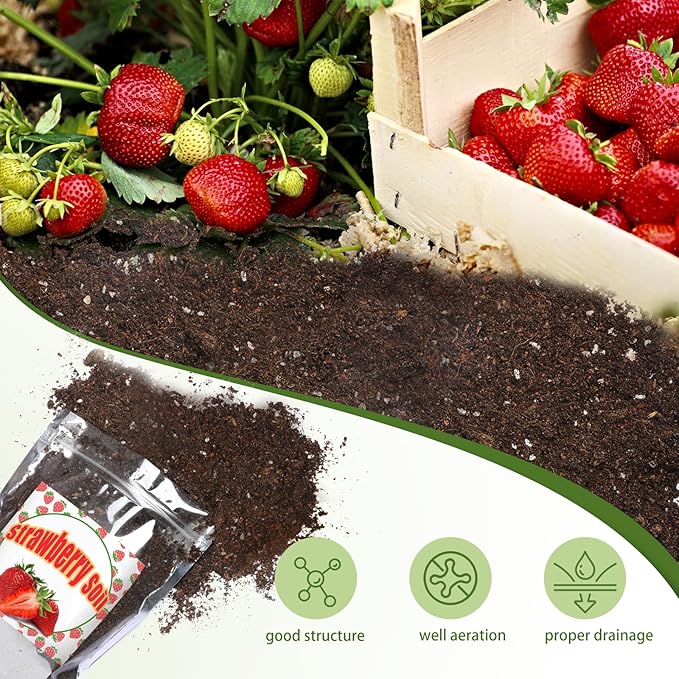 Organic Strawberry Soil Mix 4qt, Indoor Plants Potting Mix for All Potted Strawberry, Grow Healthy houseplants Indoors
