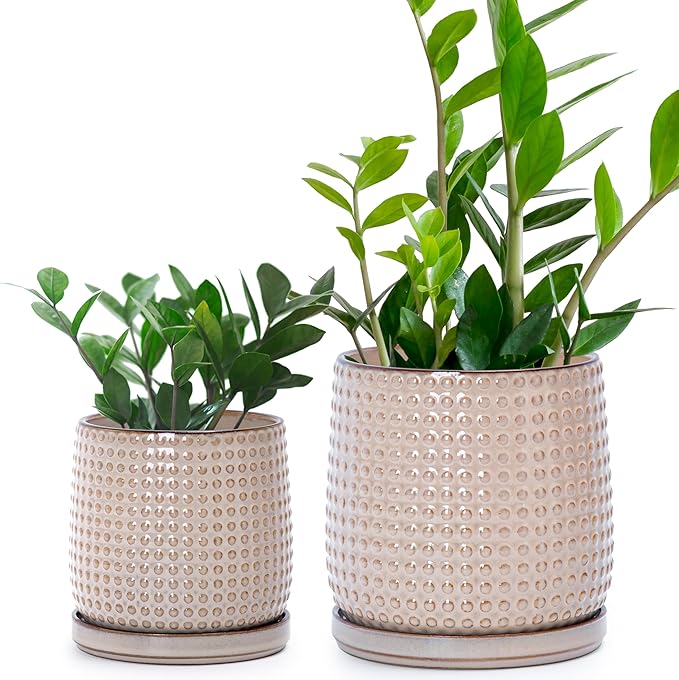 D'vine Dev 6 Inch 4 Inch Ceramic Indoor Planter Pots with Drainage Hole and Saucer, Beaded Design Flower Pots, Set of 2, Light Brown, 27-D-U-4
