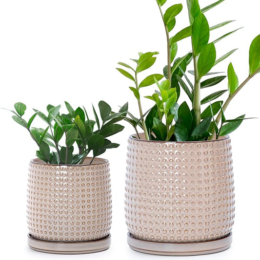 D'vine Dev 6 Inch 4 Inch Ceramic Indoor Planter Pots with Drainage Hole and Saucer, Beaded Design Flower Pots, Set of 2, Light Brown, 27-D-U-4
