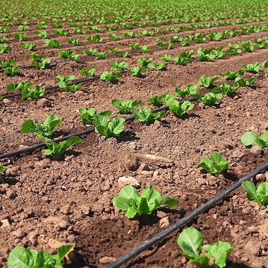 5/8" Drip Tape 1010FT, 6" Spacing Roll,16 Mil Garden Irrigation Tubing Hose, Adjustable Drip Tape Irrigation, Automatic Drip Irrigation System for Flowers, Plants, Fruits, 0.75 GPH/Hole