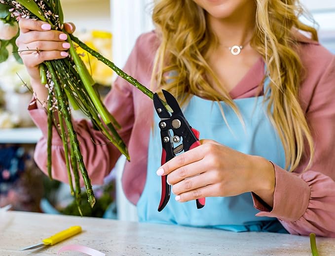 TABOR TOOLS S852A Anvil Hand Pruner with Compound Action, Makes Clean Cuts. Professional Sharp Secateurs, Pruning Shears, Garden Shears, Clippers for the Garden.