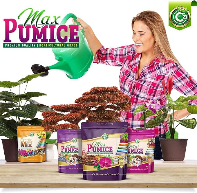 Pumice Stone Grow Media - Made in USA for Bonsai • Succulents • Cactus • Orchids - Horticultural Soil Amendment Additive Conditioner for Indoor and Outdoor Plants and Flower Gardens. OMRI Listed
