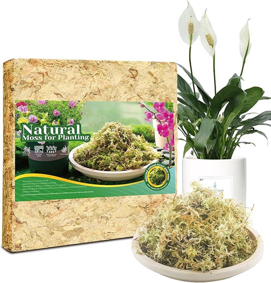 1LB Sphagnum Moss for Plants Indoor, Premium Peat Moss for Reptiles Terrarium-20 Quarter, Natural Long Fiber Orchid Moss for Repotting Propagation Succulent Sarracenia Carnivorous Gardening