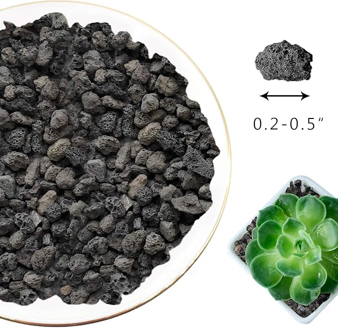 Black Lava Rocks for Plants -100% Pure Volcanic Rock No Dyes or Chemicals-Best Lava Stones Top Dressing for Cacti Succulents Plants,Bonsai-5LBS