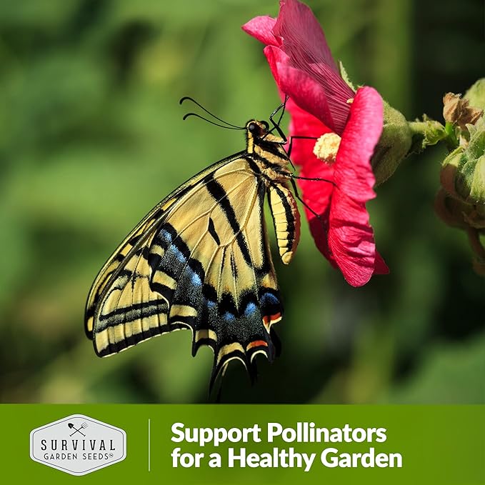 Survival Garden Seeds - Single Mixed Hollyhock Seed for Planting - Packet with Instructions to Plant and Grow Colorful Spikes of Flowers in Your Home Vegetable Garden - Non-GMO Heirloom Variety