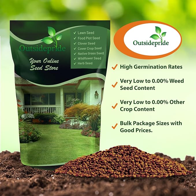 Outsidepride Perennial Red Clover Seeds - 10 lbs. Self-Seeding, Nitrocoated, Inoculated Clover Seeds for Lawn, Yard, Forage, Pasture, Hay, Nitrogen Fixation, Soil Improvement & Crop Rotation Programs