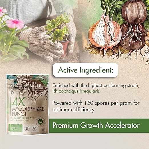 4oz 4X Mycorrhizae for Plants - Mycorrhizal Inoculant - Root Enhancer & Concentrated Myco, Superior Mycorrhizal for Plants, Ideal Mycorrhizae Powder for Increased Nutrient Uptake & Stronger Roots