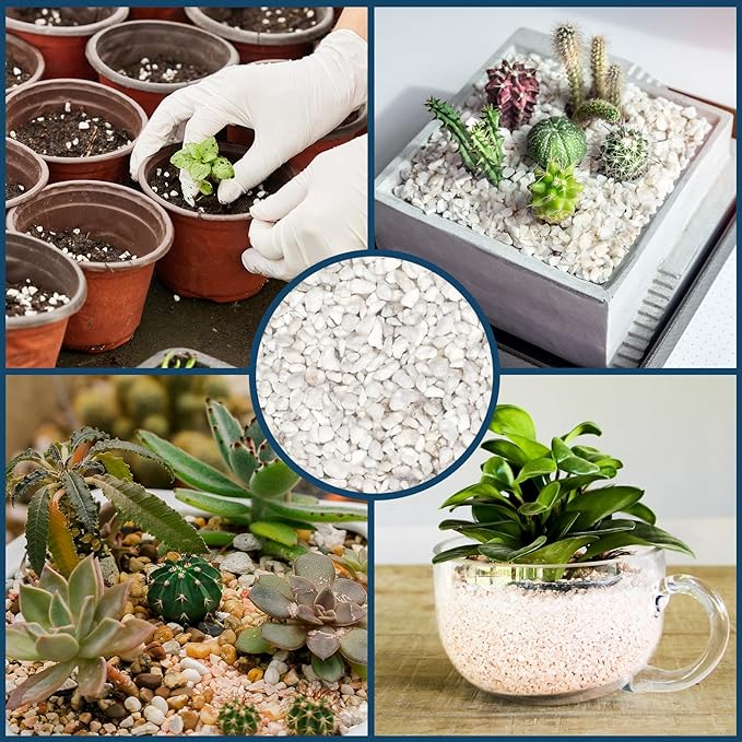 Horticultural Perlite for Plants 4qt, Chunky Perlite Bulk for Gardening, Soil Amendments to Improve Soil Aeration & Dranage for Houseplant