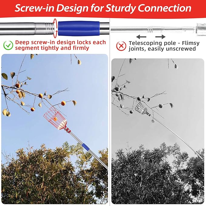 Fruit Picker Pole with Basket - Apple Picker Long Handle Telescoping, 5.5 FT Stainless Steel Fruit Picking Pole Extendable Fruit Catcher Tool for Avocado, Apricot, Pear, Orange, Mango Trees Picking