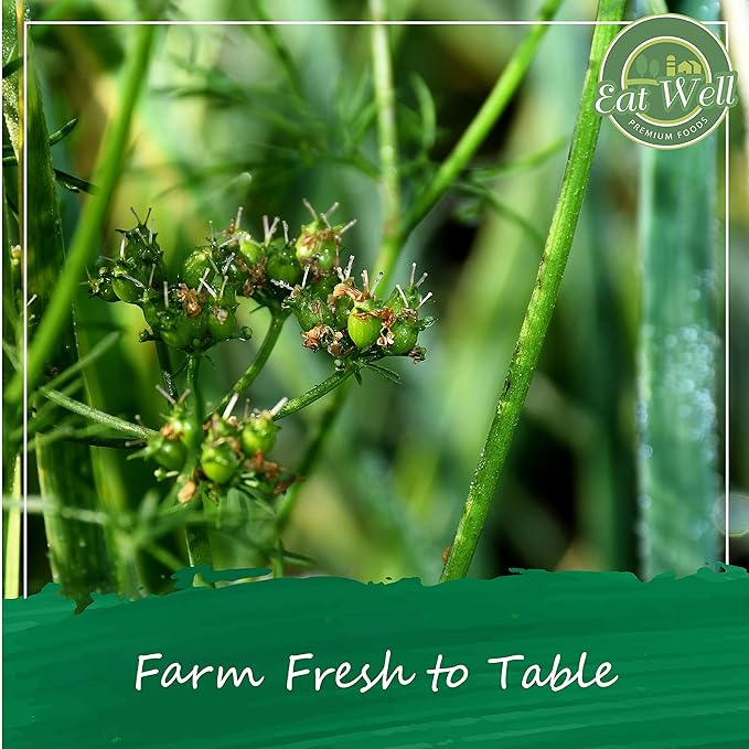 Eat Well Coriander Seeds Whole 6 oz, Bulk Traditional Whole Coriander Cilantro Seeds,100% Natural, Fresh, Gourmet Spices Seasonings, Pure Spice Ingredients for Cooking, Herbs and Spice Mix