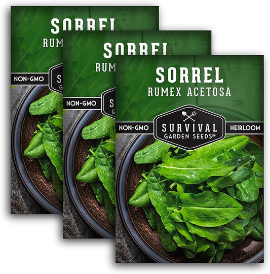 3 Packs Sorrel Seed for Planting - Packet with Instructions to Plant and Grow Rumex Acetosa Tangy Herb and Salad Greens in Your Home Vegetable Garden - Non-GMO Heirloom Variety - Survival Garden Seeds