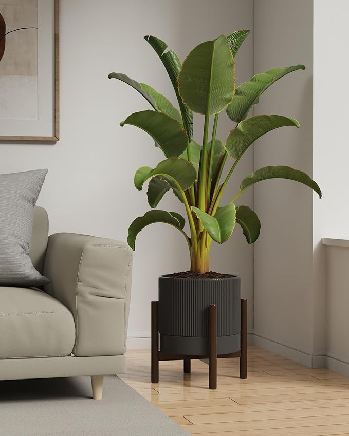 Ceramic Planter Pots Indoor with Drainage Hole & Saucer,Including Stand,7.3 Inch Mid-Century Modern Cylinder Plant Pot for Snake Flower Leaf