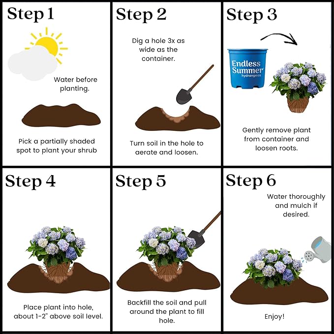 Endless Summer Original Hydrangea, 1 Gal, Blue