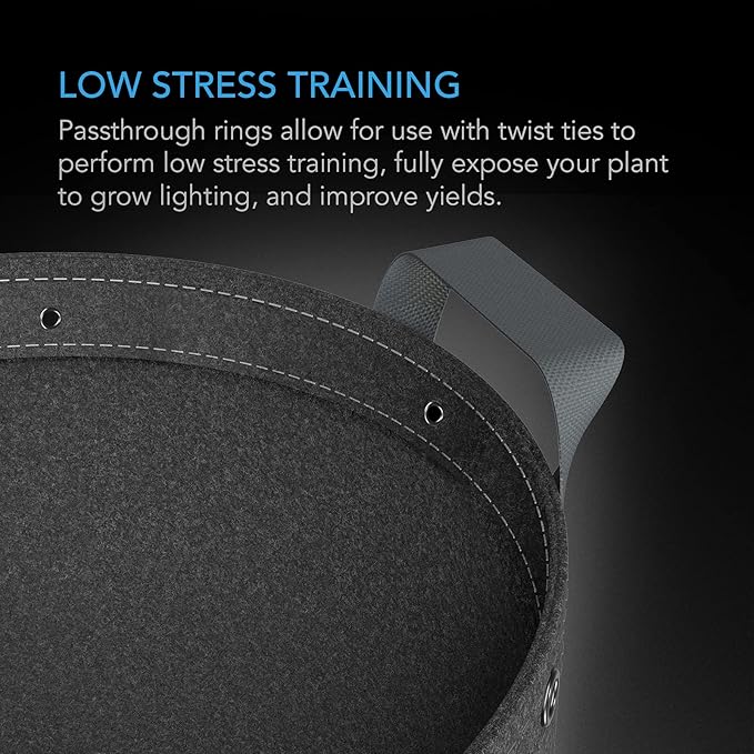 AC Infinity Heavy Duty Fabric Pots, 1 Gallon Aeration Reusable Grow Bags 5-Pack with 500G Thick Nonwoven Fabric and Multi-Purpose Rings, for Low Stress Plant Training Fruits, Vegetables, and Flowers