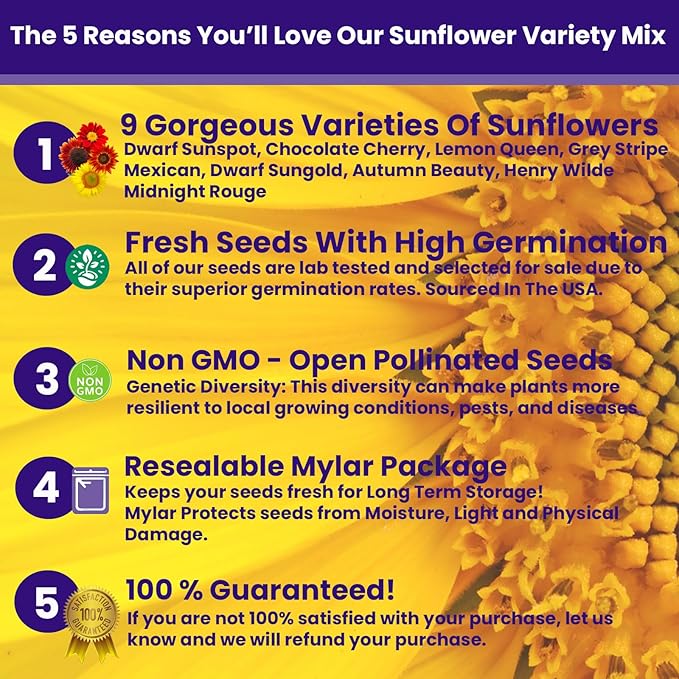 NatureZ Edge 2600+ Sunflower Seeds for Planting Bulk Variety Pack, Get More Sunflower Seeds to Plant, from Dwarf Sunflowers to Giant Sunflower Seeds, Includes Mammoth Sunflower Seeds, Non-GMO