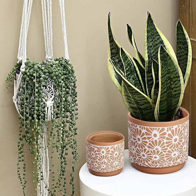 3 Piece Ceramic Plant Pots, 5.7/4.7/3.5/inch Planters with Drainage Hole, Outdoor Indoor Flower Pots Set, Modern Decorative Plant Pots for Lilies, Cacti, Succulents, Snakes, Bamboo(Red)