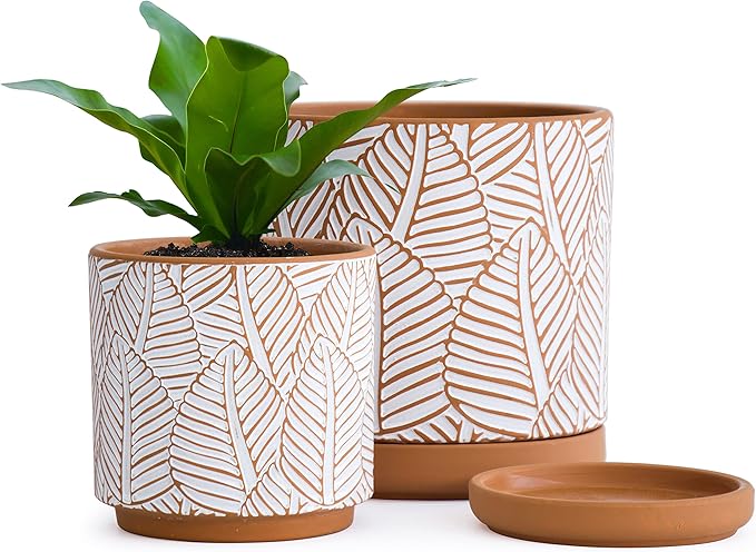 D'vine Dev Set of 2 Terracotta Pots, Broadleaf Pattern Planter Pot, 4 Inch and 6 Inch, Pot with Drainage Hole and Saucer, Terracotta/White, 31-958-H-1
