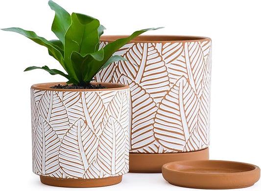 D'vine Dev Set of 2 Terracotta Pots, Broadleaf Pattern Planter Pot, 4 Inch and 6 Inch, Pot with Drainage Hole and Saucer, Terracotta/White, 31-958-H-1
