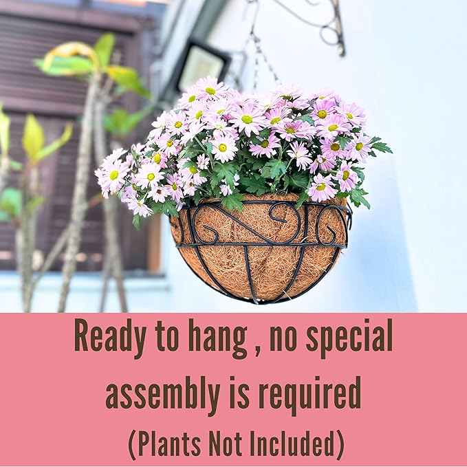 LaLaGreen Hanging Planter for Outdoor Plants (6 Pack, 16 Inch) Hanging Baskets with Coco Liner, Metal Wire Flower Basket Pots with Hook Hanger Balcony Porch Farmhouse Country Style Garden Decor