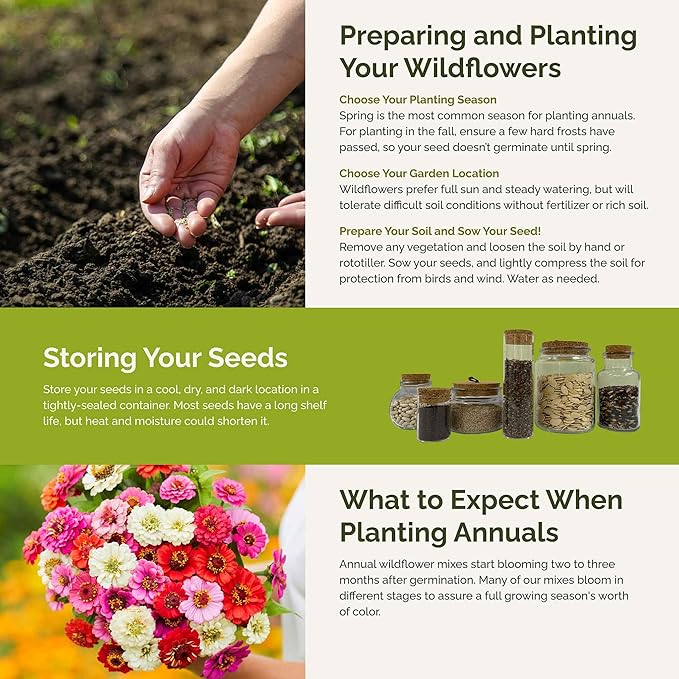 Eden Brothers Zin Master Flower Mixed Seeds for Planting, 1/4 lb, 120,000+ Seeds with California Giant, Mexican, Lilliput Zinnia | Attracts Pollinators, Plant in Spring, Zones 3, 4, 5, 6, 7, 8, 9, 10