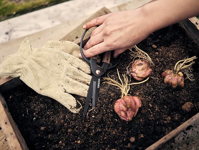 Barebones Garden Scissors - Walnut Plant Scissors - Garden Supplies and Indoor Plant Accessories - Plant Shears with Wide Handles - Comfortable Fit Hand Pruners (Large)