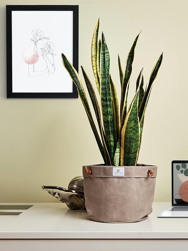 Large Waxed Canvas Handmade Hanging Planter for Indoor/Outdoor Plants, Hanging Basket Plant Holder Stone Gray