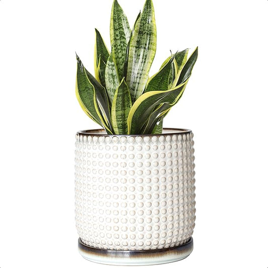 D'vine Dev 6 Inch Ceramic Beaded Stoneware Planter Pot - Flower Pot with Drainage Holes and Saucers for Indoor Succulent Plants or Flowers, Smoked White, 27-C-X-1