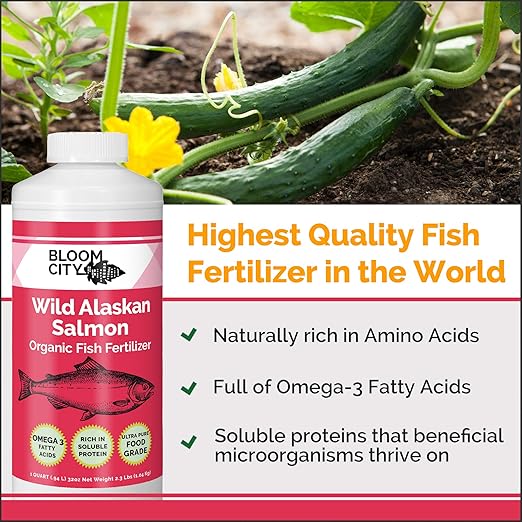 Bloom City Organic Wild Fish Fertilizer and Plant Supplement, Great for Roots and Soil, Made from Sustainable Salmon, Quart (32 oz)