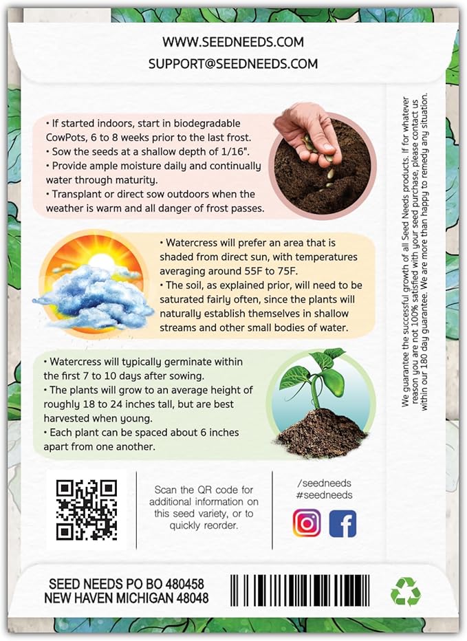 Seed Needs Watercress Seeds for Planting - Non-GMO, Heirloom & Untreated - Organically Grow Your own Culinary Herb Garden Indoors or Outdoors (1 Pack)