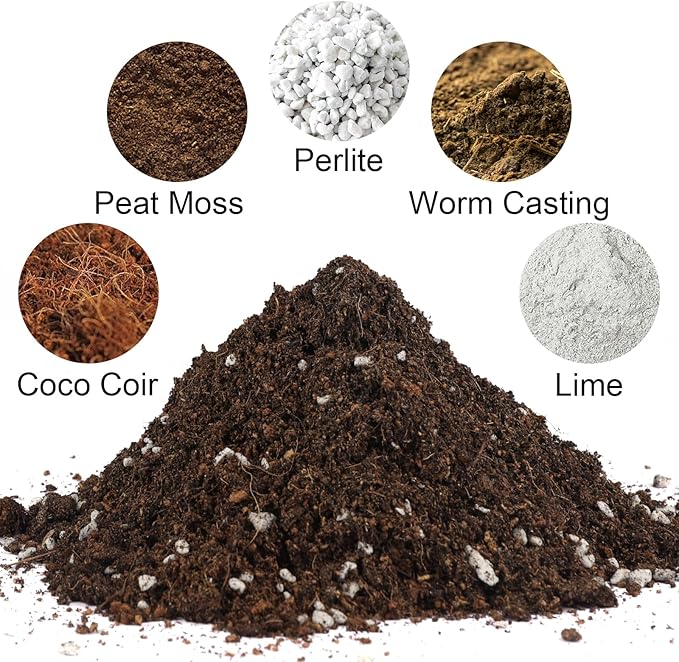 Potting Soil Mix for Indoor Plants 2qt, Organic Houseplant Soil Well Draining Dirt Ready to Use, Fit for House Plant Like Pothos, Philodendron, Monstera, African Violet