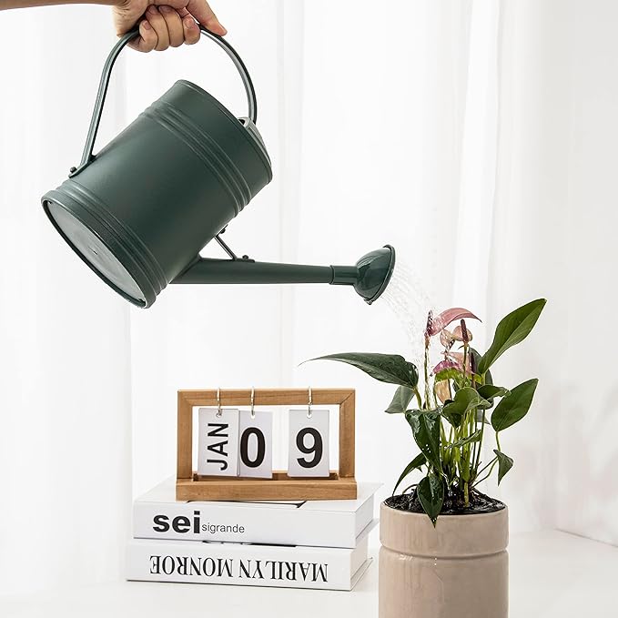 Watering Can for Indoor Plants, Flower Watering Can, Plastic Water Can for Plants, Indoor Watering Can with Sprinkler Head 68 oz, 1/2 Gallons