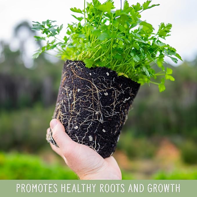 Horticultural Perlite Soil Additive (12 Quarts); for Enhanced Potting Mix Drainage and Growth