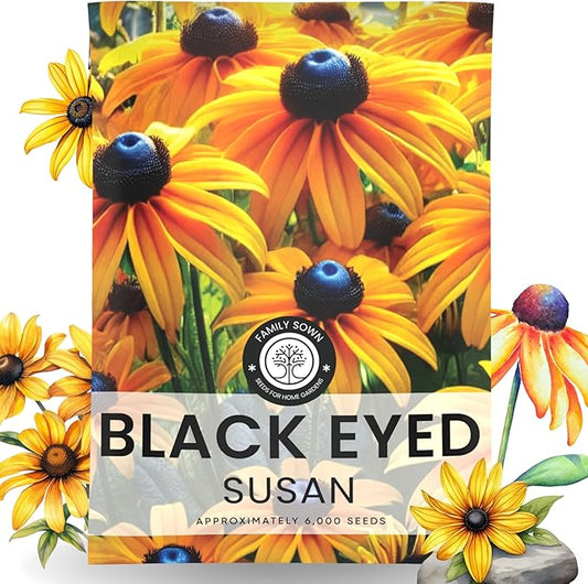 Black Eyed Susan - Large 2,500mg Envelope - 6,000 Flower Seeds for Planting - Rudbeckia hirta