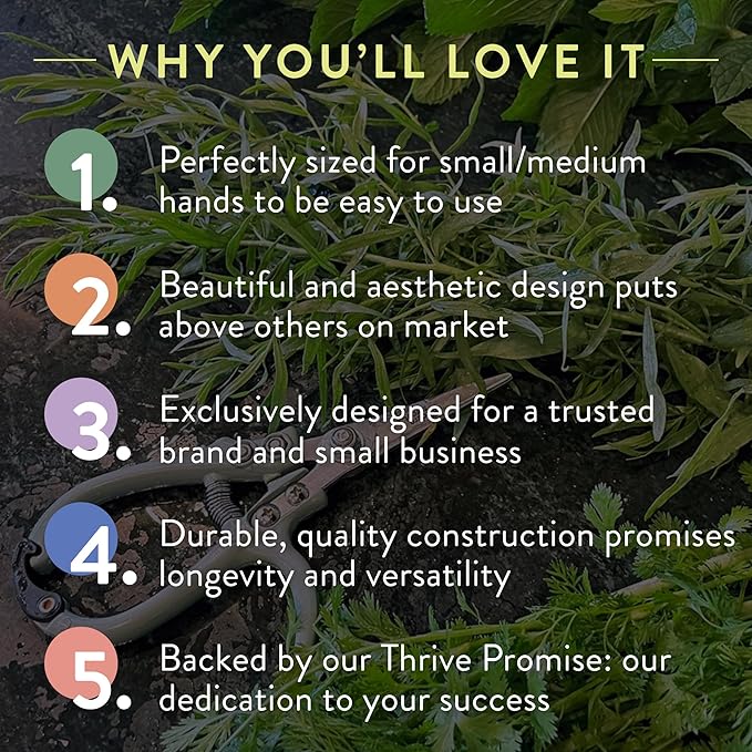 Modern Sprout Gardening Shears & Pruners 2-pack, Lightweight, Durable, One Size (Sage)