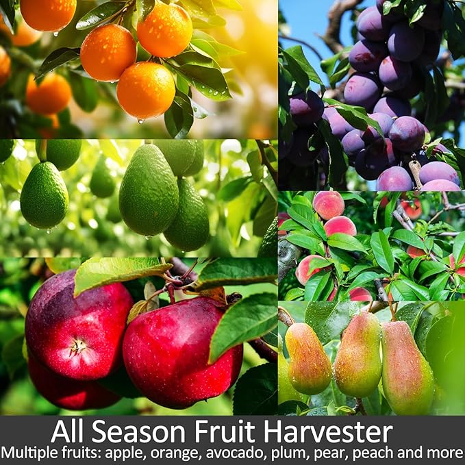 Fruit Picker Pole with Basket Telescopic Pole, 5ft Extendable Fruit Catcher Picking Pole Garden Tools for Picking Fruit from High Apple Cherry Orange Mango Fig Lemon Avocado Fruit Trees