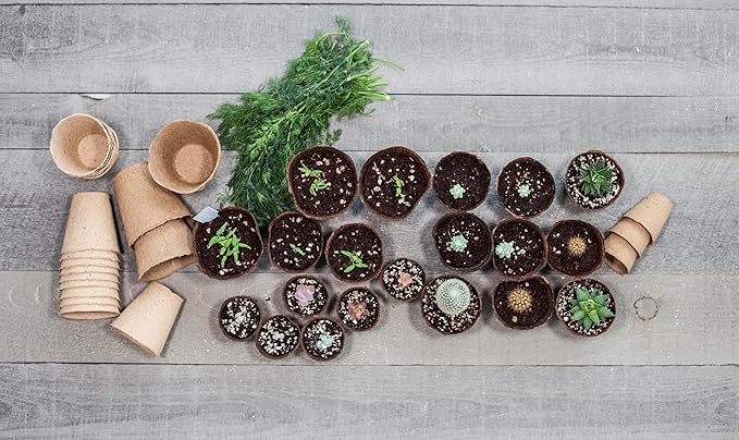 Daniel's Plants 4" Naked Pots | Large Natural Plantable Seed Starter Pots | OMRI-Listed Biodegradable Pots for Seedlings | Enhanced Aeration | Earth Friendly - Peat Free | 10 Pack 4 Inch Round