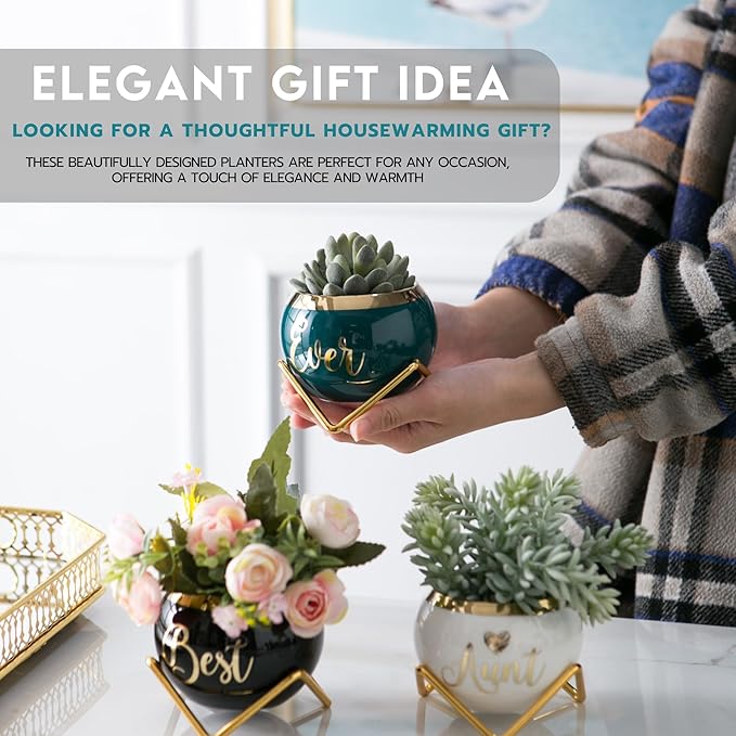 Aunt Gifts, Gifts for Aunt from Niece & Nephew, Best Aunt Ever Gifts, Birthday Gifts for Aunt, Auntie Gifts from Niece Nephew, Great Aunt Gifts, Gardening Gifts for Aunt Unique, 3 Succulent Pots Only