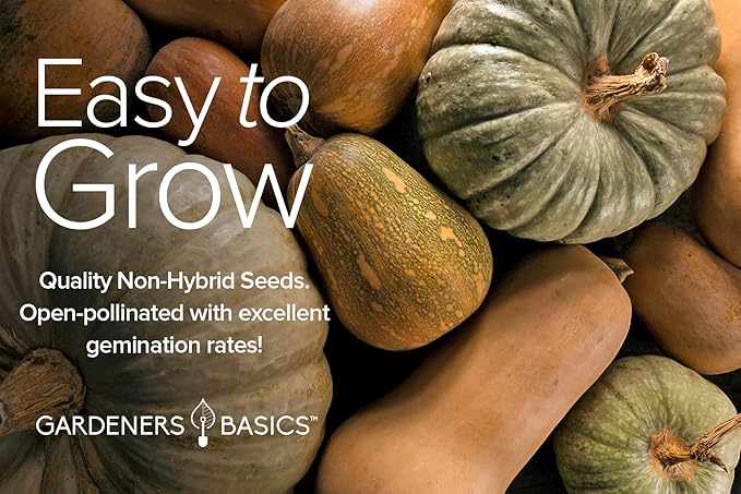 Gardeners Basics, 8 Squash Seeds for Planting Individual Packets - Zucchini, Delicata, Butternut, Spaghetti, Scallop, Caserta, Round and Hubbard for Your Non GMO Heirloom Vegetable Garden