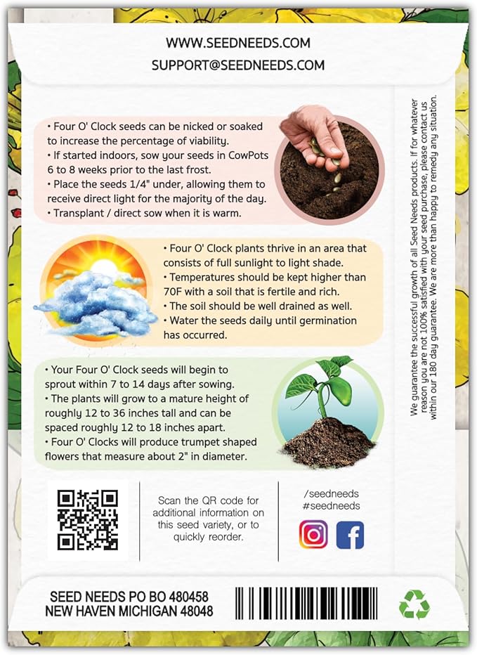 Seed Needs, Yellow Four O' Clock Seeds - 60 Heirloom Seeds for Planting Mirabilis Jalapa - Tender Perennial Flowers to Attract Butterflies, Hummingbirds & Other Pollinators (1 Pack)