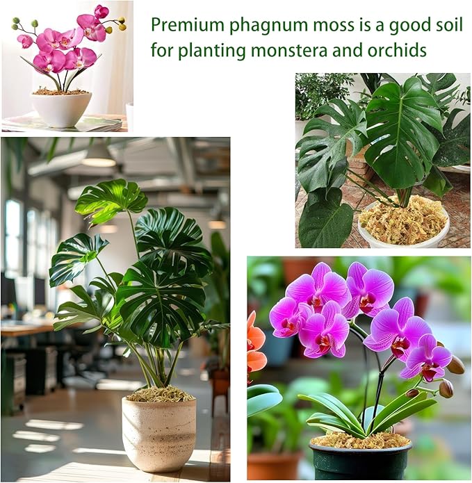 1.2LBS Premium Sphagnum Moss, Reptiles Dried Moss, Plants Propagation Plant Growing Medium for Monstera Orchid Potting Mix (Appx 30 QT)