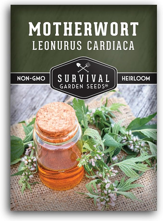 Motherwort Seed for Planting - 1 Packet with Instructions to Plant and Grow Lion's Tail Medicinal Herbs in Your Home Herb Garden - Non-GMO Heirloom Variety - Survival Garden Seeds