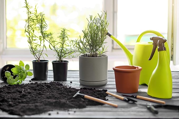 D'vine Dev Ceramic Planter Pot with Drainage Hole and Saucer, Indoor Cylinder Round Flower Pot, 4.6 Inch, Grey, 94-O-B-3