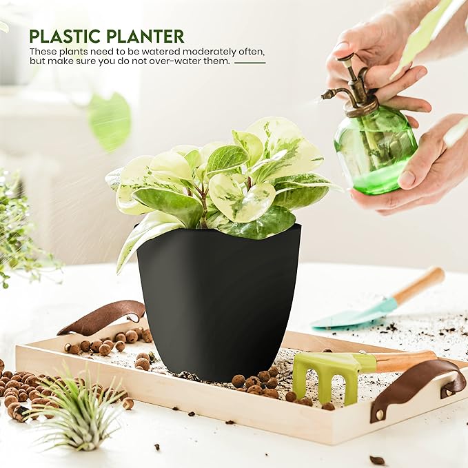 Utopia Home - Plant Pots Indoor with Drainage - 7/6.6/6/5.3/4.8 Inches Home Decor Flower Pots for Indoor Planter - Pack of 40 Plastic Planters for Indoor Plants, Cactus, Succulents Pot - Black