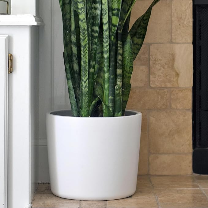 Willowy 12 inch Large Matte White Ceramic Planter - 12 Inch Pots for Plants Indoor, Modern White Planters for Indoor Plants, Big 12 Inch Plant Pot, White Plant Pot with Drainage Hole Plug