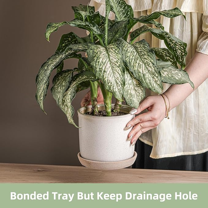 6 Inch Plant Pot: Ceramic Planter with Drainage Hole & Saucer for Indoor Outdoor Plants - Flowerpot with Bonded Tray for Home Office - Retro Style, Grey