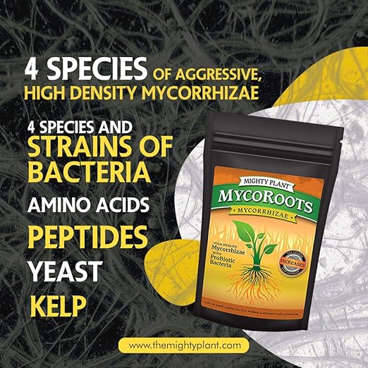 Organic MycoRoots Ultra-Concentrated Mycorrhizal Fungi Root Enhancer – 500 Spores/Gram for Optimal Plant Growth & Health | Boost Soil Nutrient Absorption (1, Pounds)