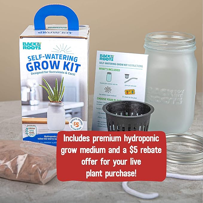 Back to the Roots Self Watering Grow Kit - Glass Hydroponic Planters for Succulents and Cacti - Hassle-Free Self-Watering System