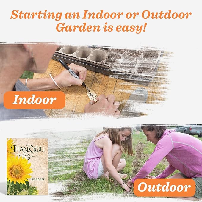 Bentley Thank You Packet - Sunflower Seeds - Pack of 25 - Perfect Eco-Friendly Thank You Gift - Non GMO