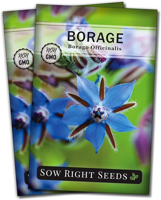Sow Right Seeds - Borage Seed to Plant - Non-GMO Heirloom Seeds - Full Instructions for Easy Planting and Growing a Kitchen Herb Garden - Indoors or Outdoor - Great Gardening Gift (2)