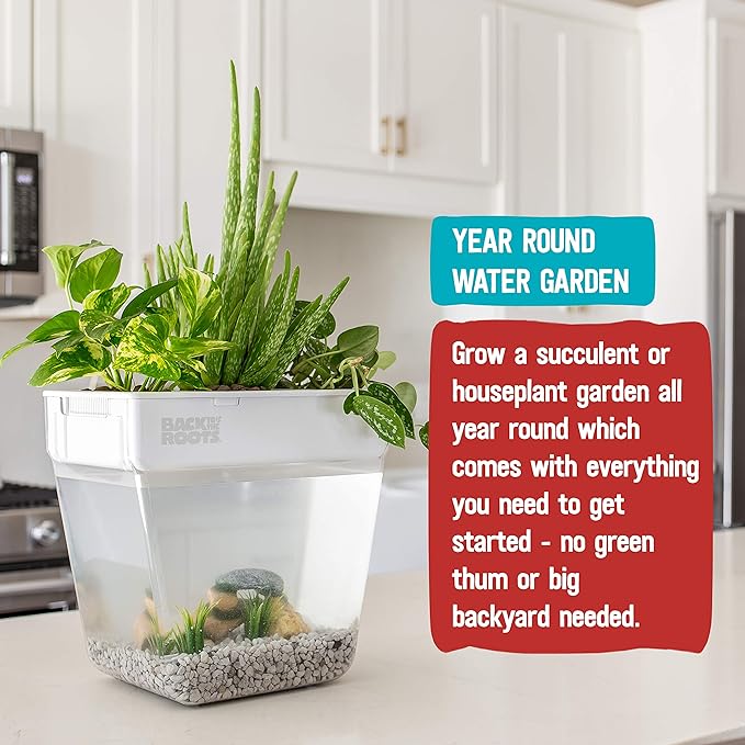 Back to the Roots Indoor Hydroponic Garden - 3 Gallon Self Watering, Mess-Free Planter for Herbs, Microgreens, Bamboo, Succulents, and Houseplants, Green
